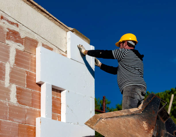 Best Insulation Maintenance and Repair in Rio Hondo, TX